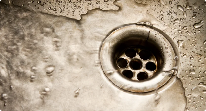 A close-up shot of water pooling around a metallic sink drain, representing plumbing issues or property damage.